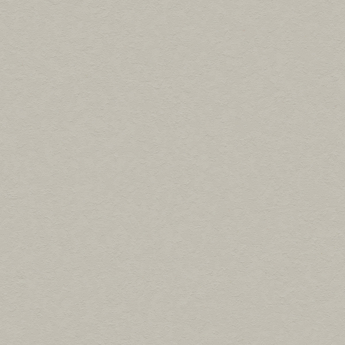 Muted Beige - 31011