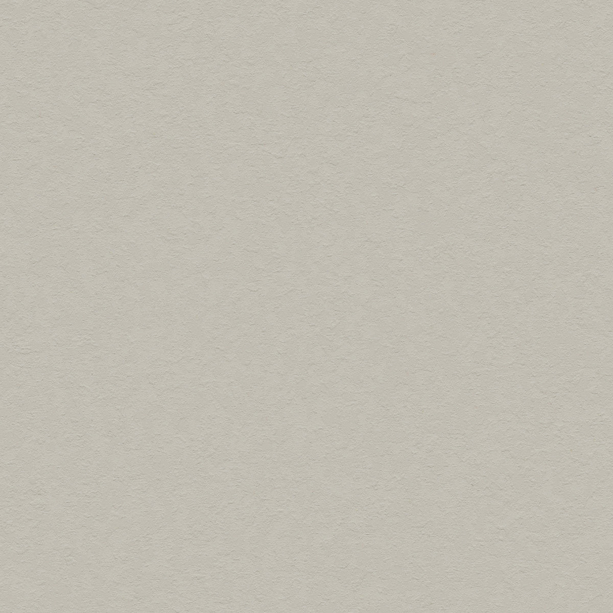 Muted Beige - 31011