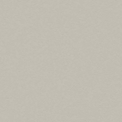 Muted Beige - 31011