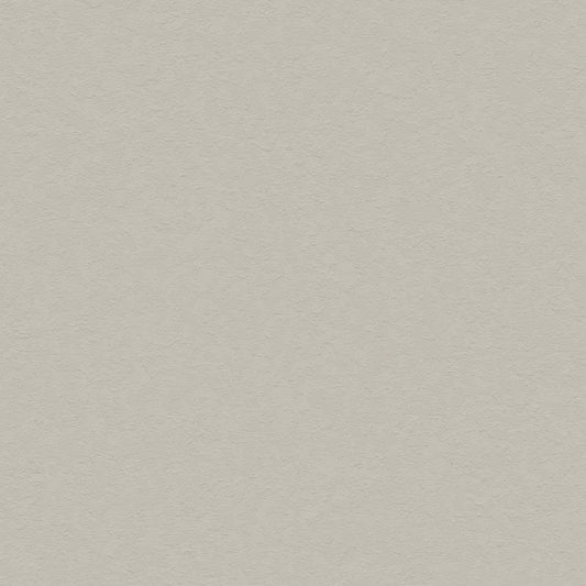 Muted Beige - 31011