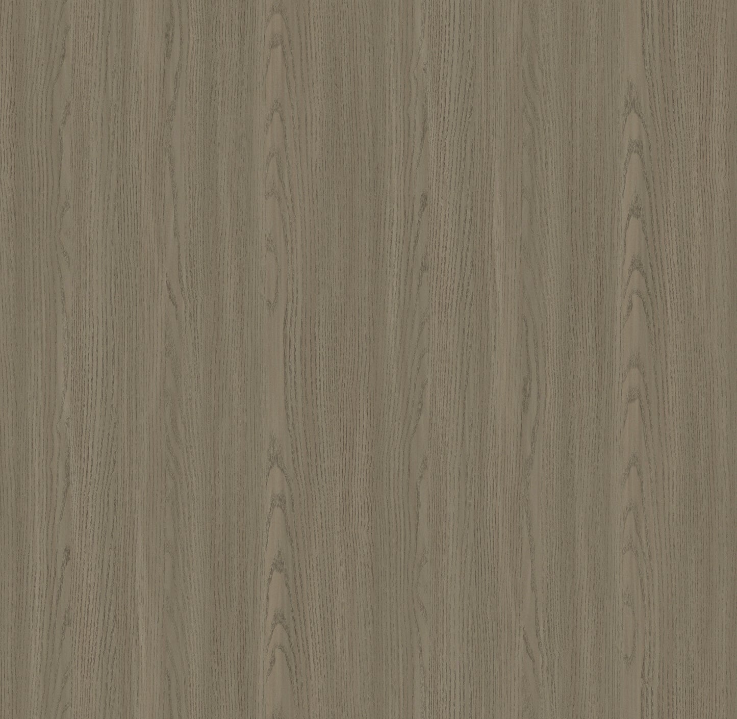 Birch Wood - 81012