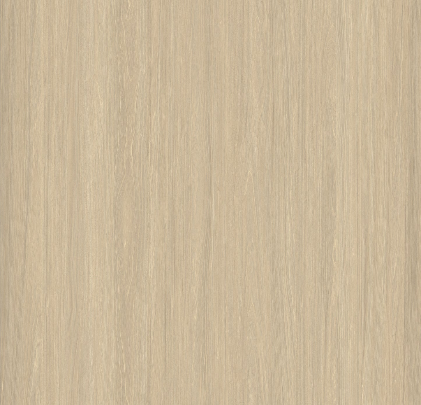 Poplar Wood - Small Fluted