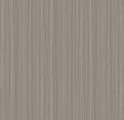 White Oak - 81038