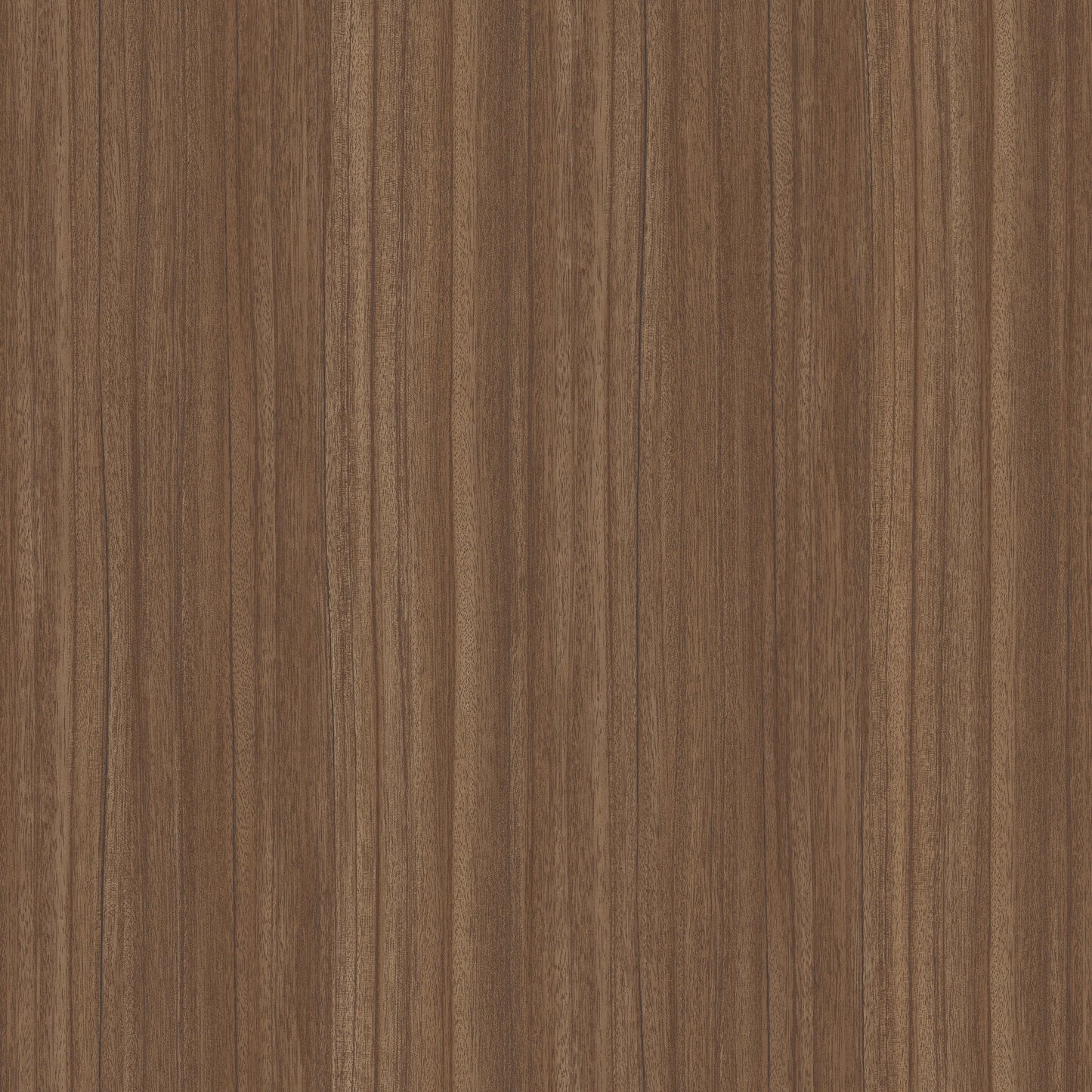 Chestnut Wood - 81043