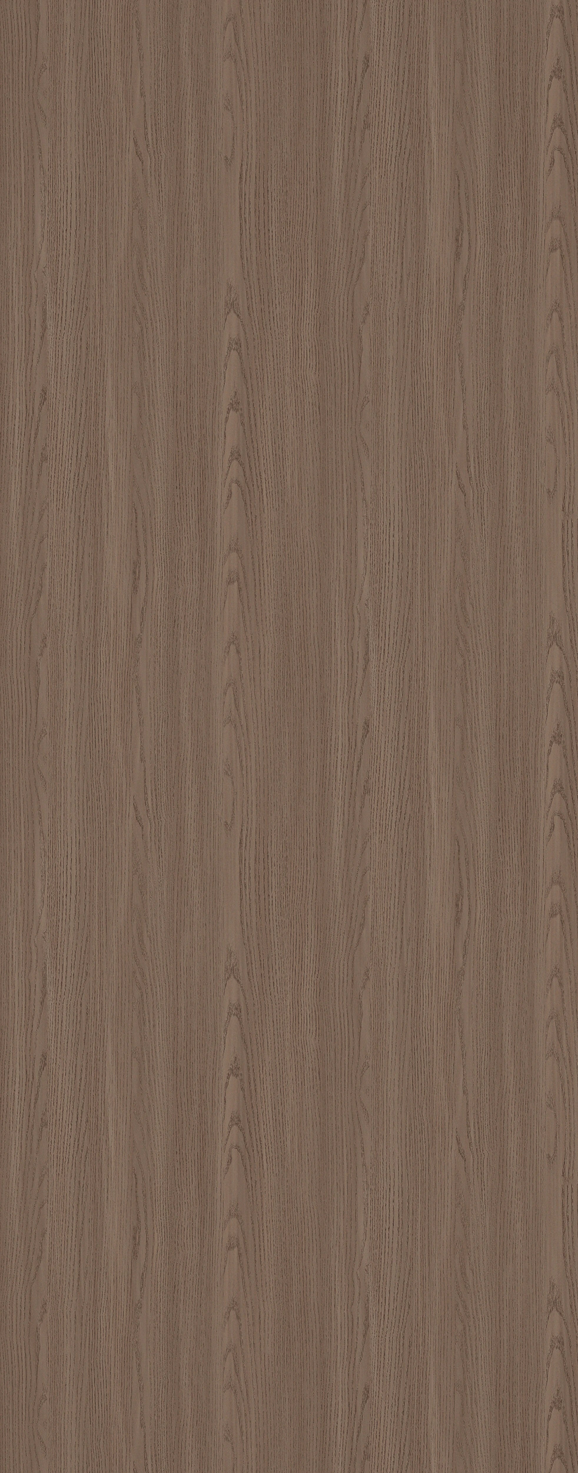 Birch Wood - Flat Panel
