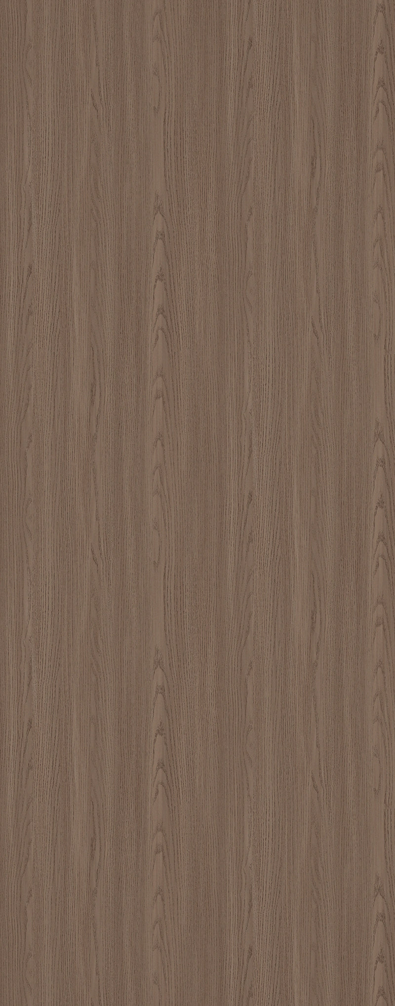 Birch Wood - Flat Panel