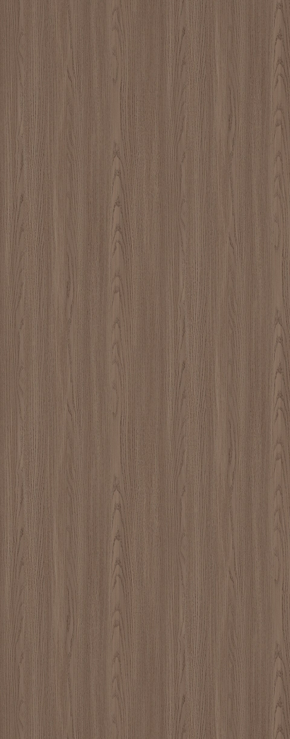 Birch Wood - Flat Panel